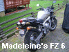 Madeleine's FZ 6